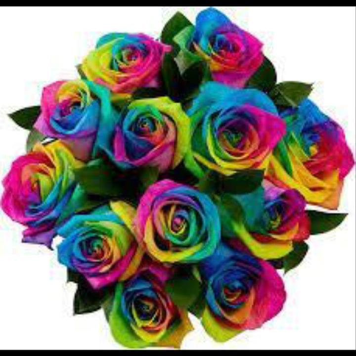 Good evening south Asia and Asia 😊 Beautiful purple flowers and red ...