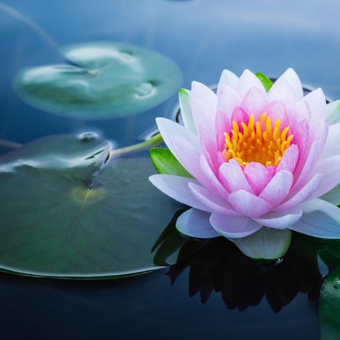 Ngọt ngào và xinh yêu như vậy luôn nè 🎀 Bánh ít ngọt, mỗi vị lại có một ...