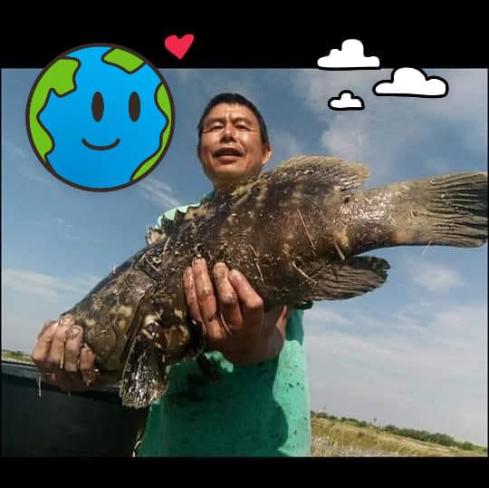 蘇武昌