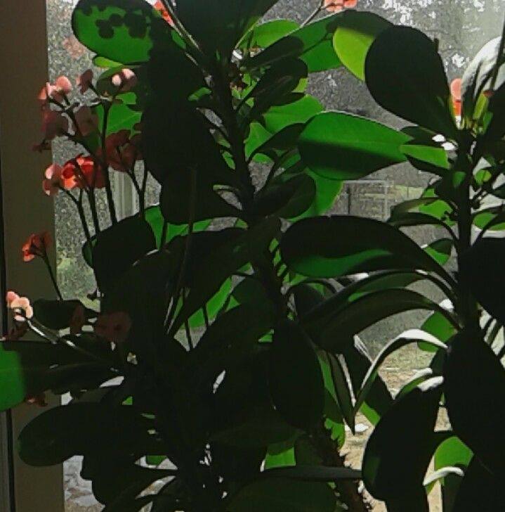 Weekly - MIDWEEK MEETING PREPARATION #TREASURES FROM GOD'S WORD Week of ...