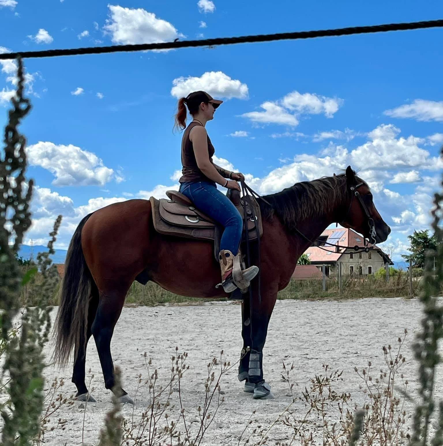 COLONELS CHIC by SMART CHIC OLENA out of a daughter of COLONEL FRECKLES ...