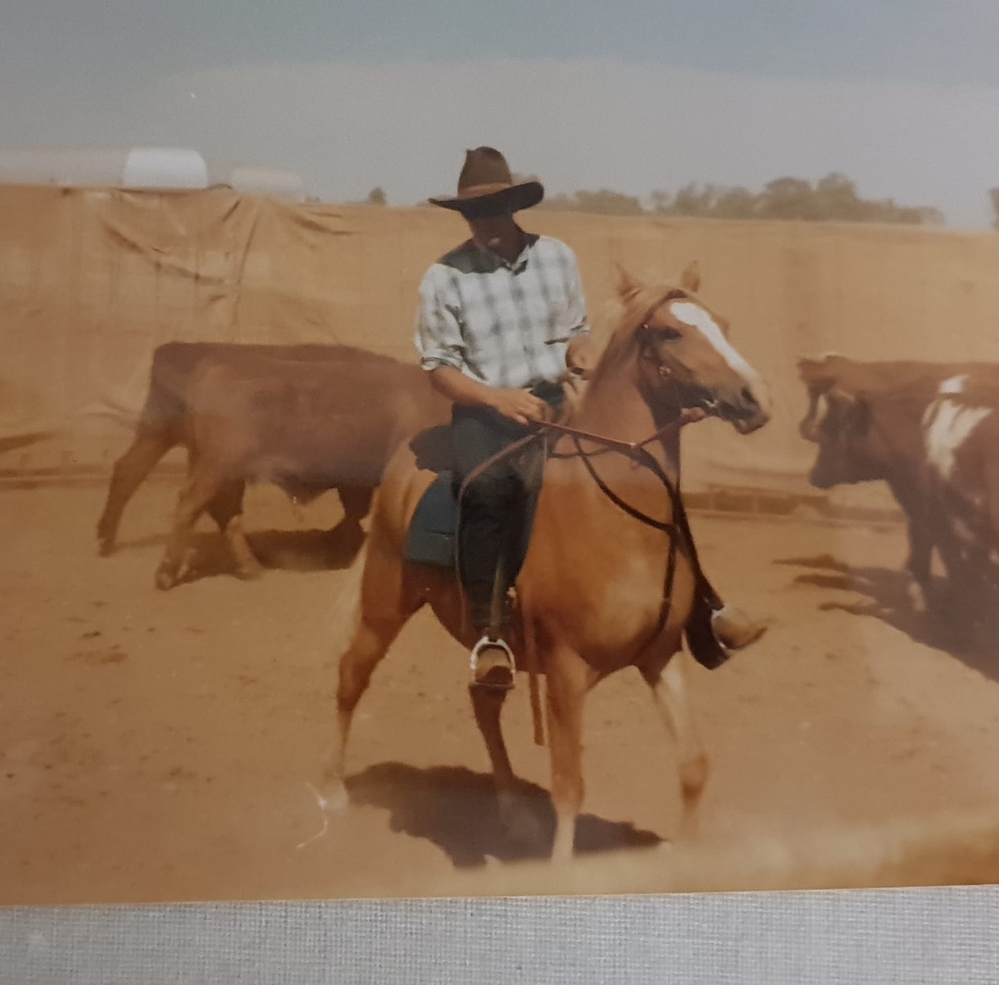 Stories From the Road Museum AUSTRALIA | Matty Harkin Then and Now, 11 ...