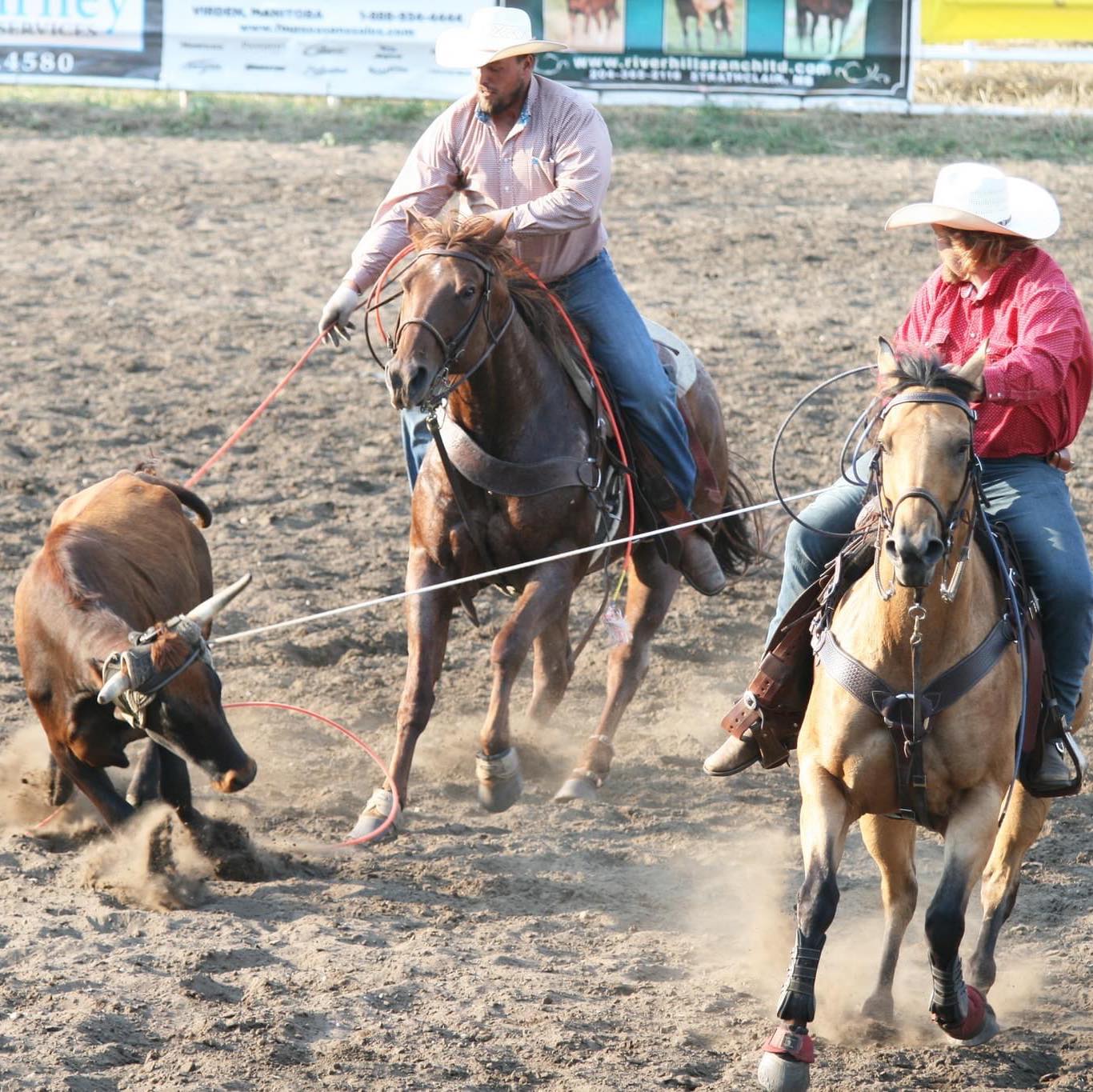 Team Roping etc. | Roping lessons/roping practice: If you have a ...