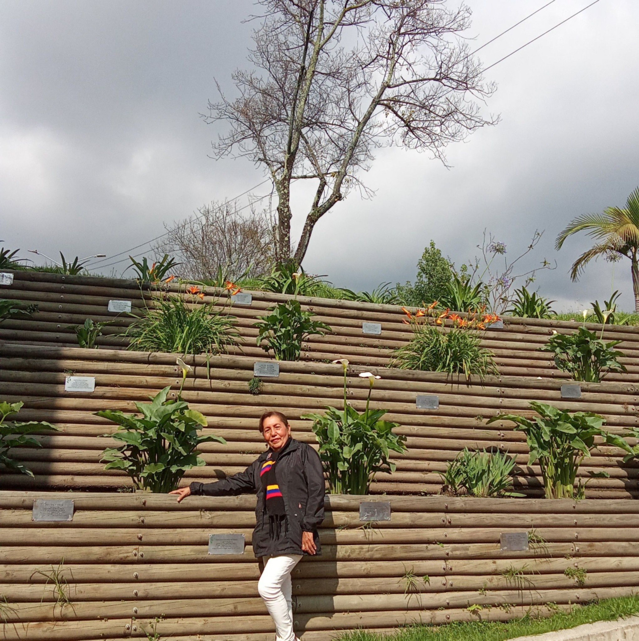 #DenunciaCiudadana | Un presunto intento de hurto fue reportado en el ...