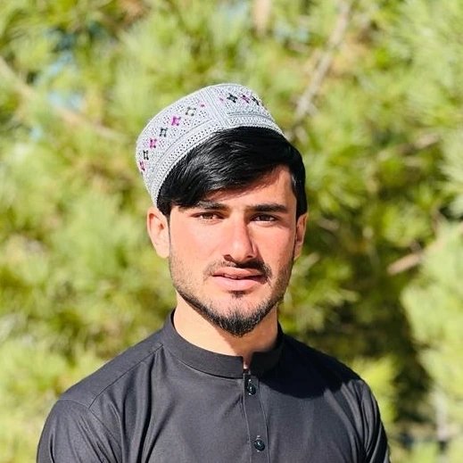 ن. نجیب