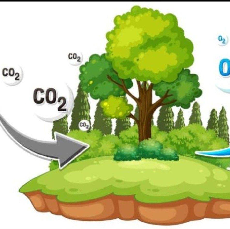Keep our environment clean | Chris Okpare