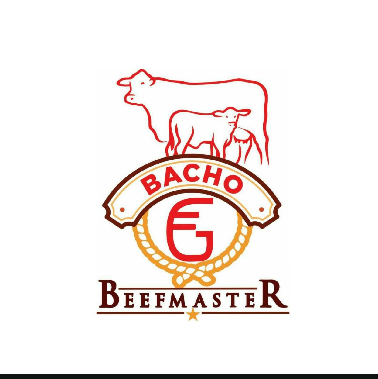 Bacho Beefmaster