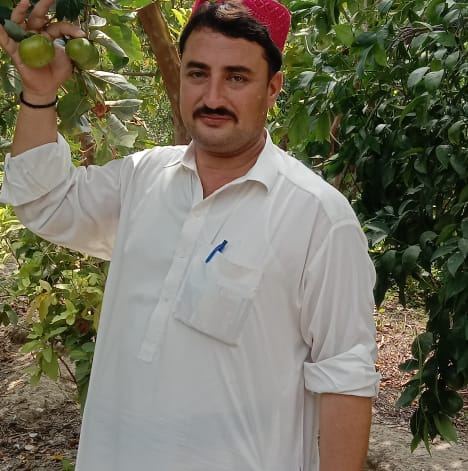 #aseellovers | Mianwali aseel
