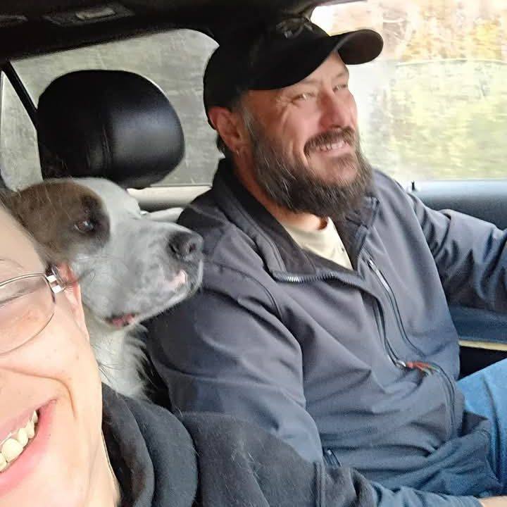 Great Dane lovers & Owners💖💖 | Facebook