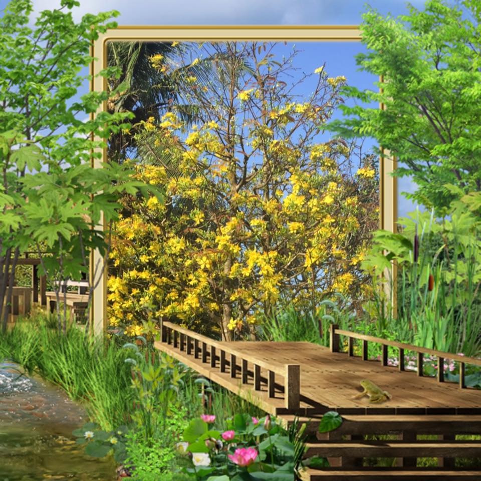 Con gì đây ae #vườnmaiđặngtrí #maibonsai #maivangbinhdinh | Đặng Xuân Trí