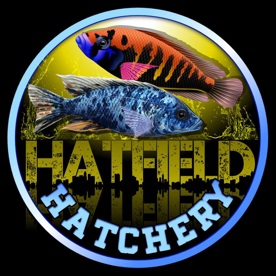 Kansas City Fish Swap Aquarium Hobbyist | Any monster fish looking for ...