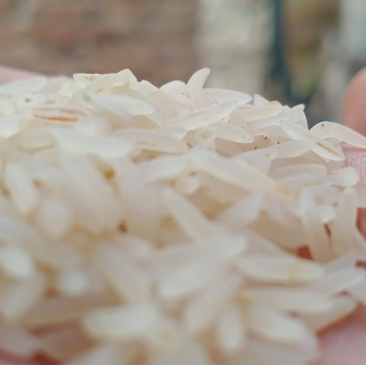 Hafiz Rice Traidar | Gujrat