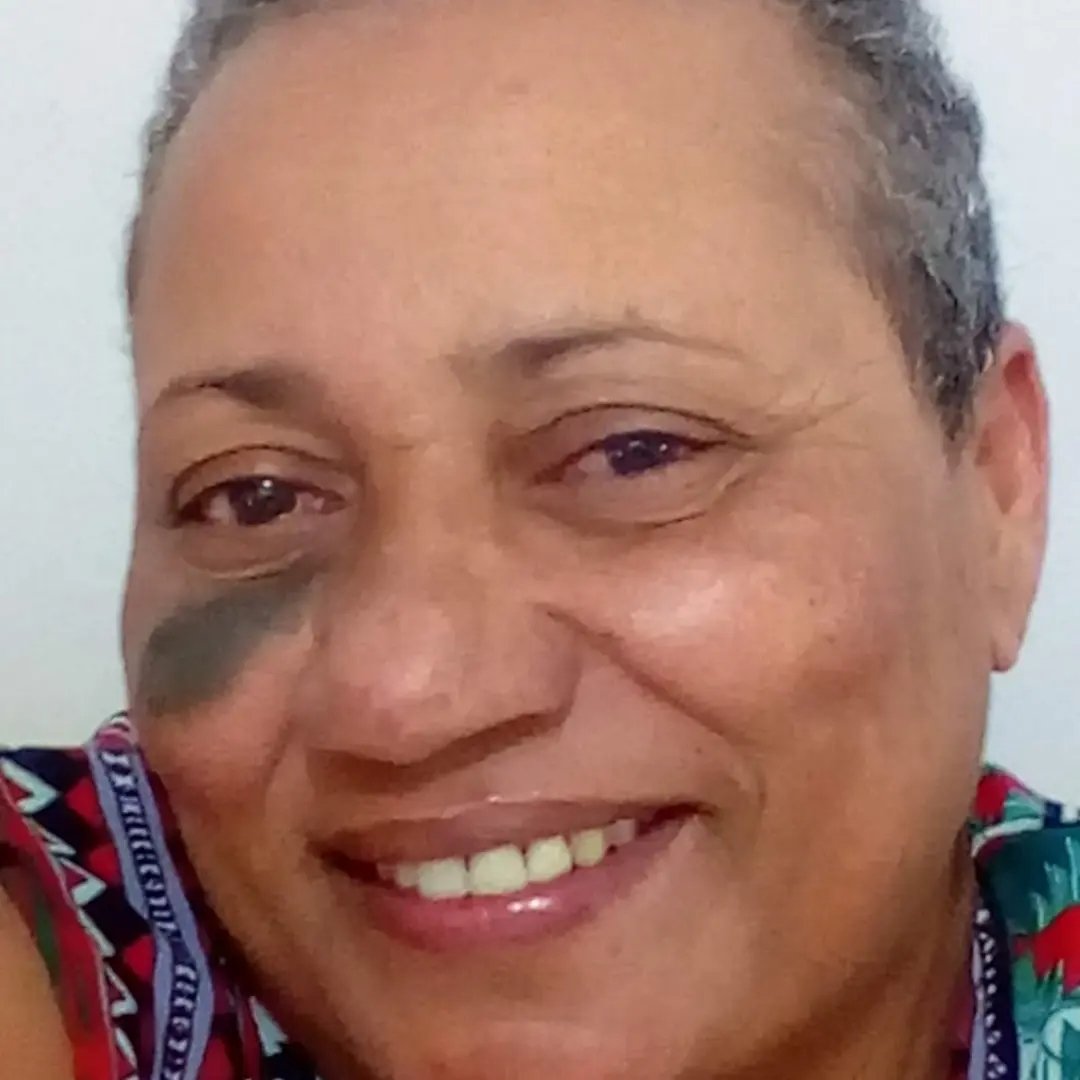 Pintura em tecido faço por encomenda - Edivania Pereira Leite | Facebook
