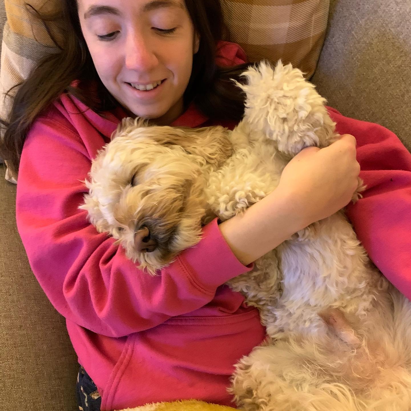 Cockapoo Owners Club | I don't think Margie is going to be much of a ...