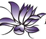 Lotus Real Estate