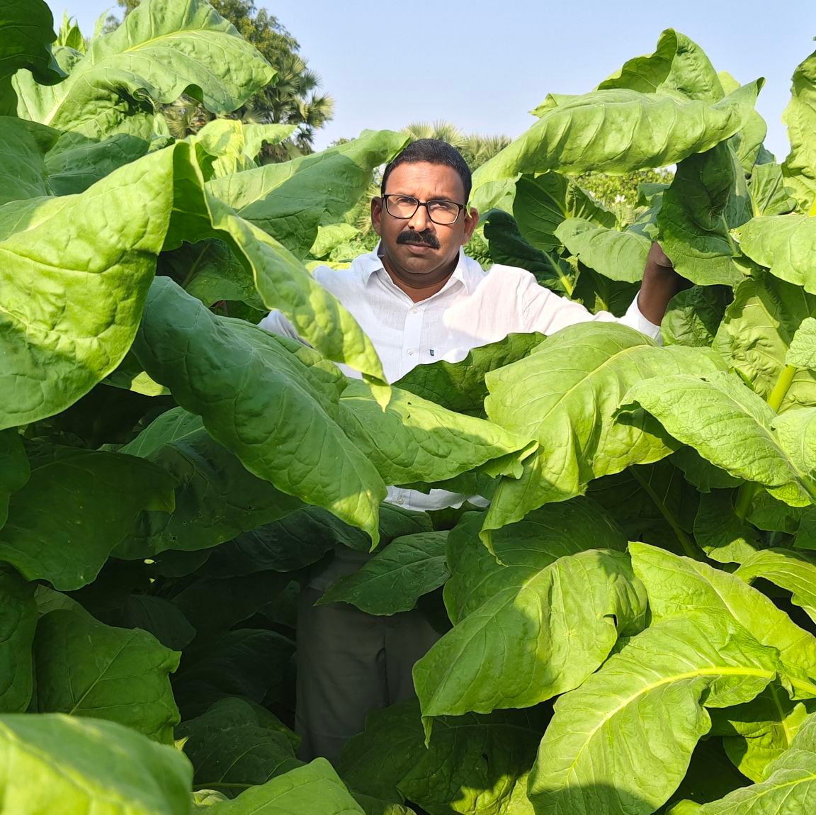 Kusam Rama Mohan Reddy