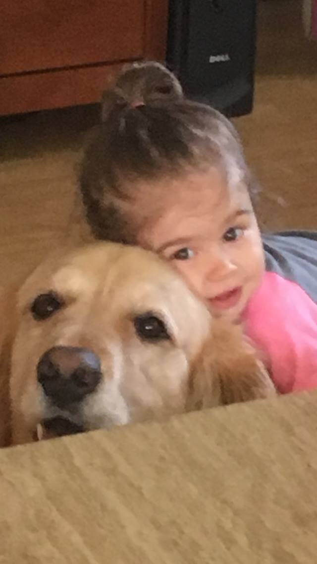 Arizona dogs and puppies for adoption | Hello my cousin has 3 puppies ...