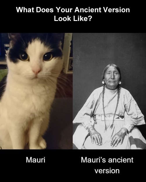 Mauri Honkanen | Facebook
