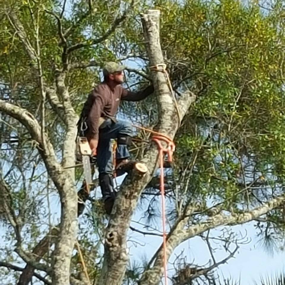 A Fast Response Tree Service, Inc. | Palm Bay FL