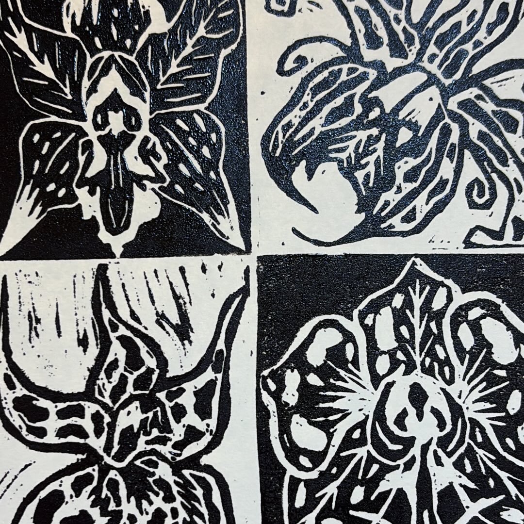 Les muestro una pequeña parte de lo que es la estructura de un dibujo ...