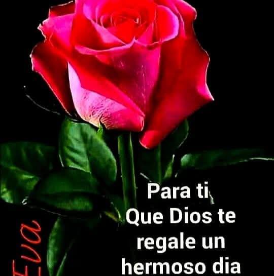 🎶🌹 Con gran alegría, el P Julio A se estrenó ayer cantando su primer ...