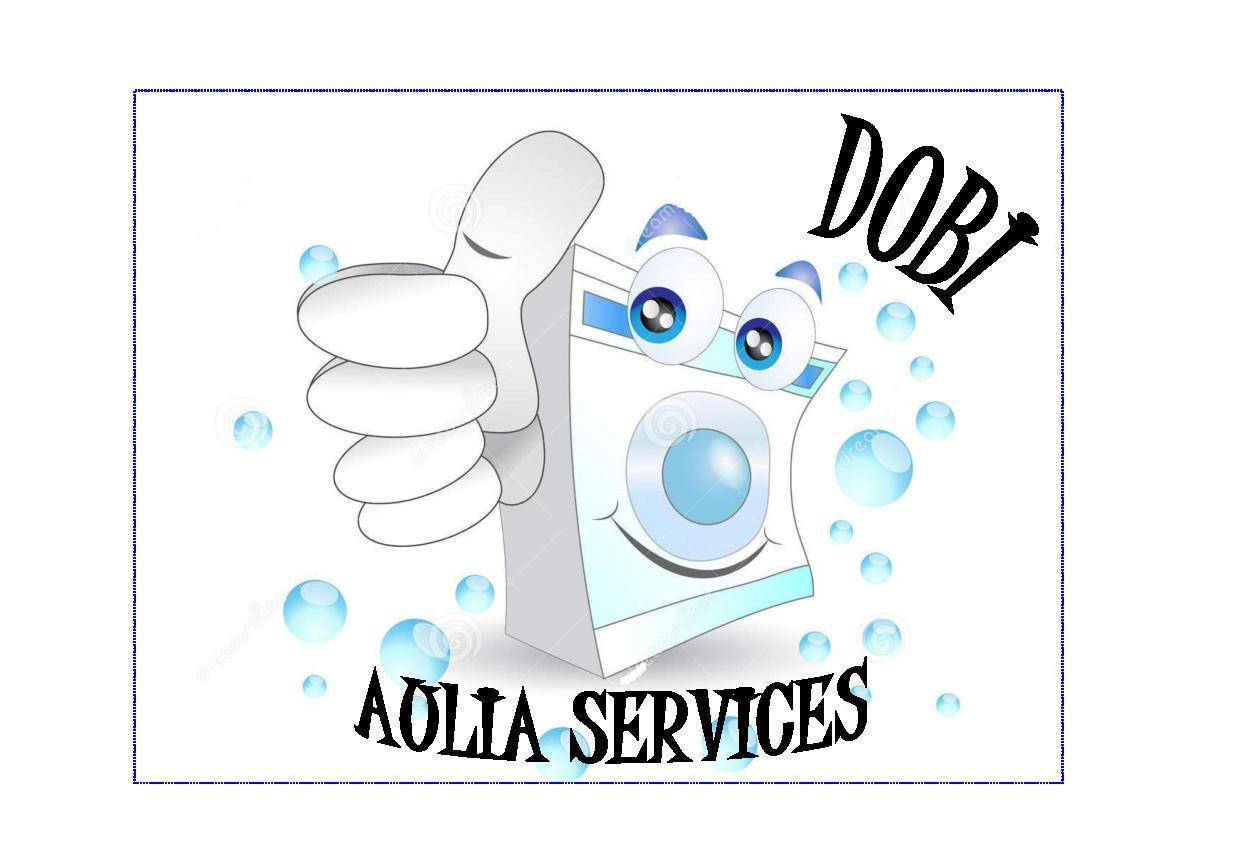 Aulia Dobi Delivery Services