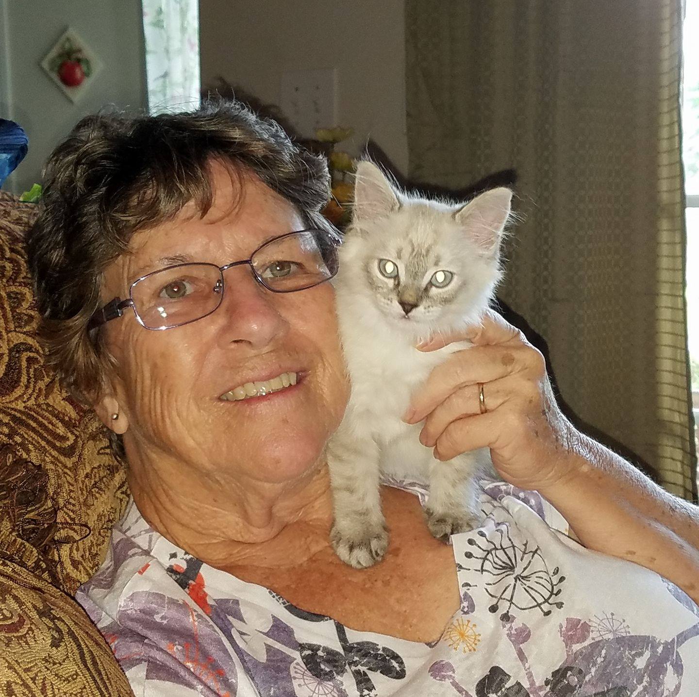 Grief and support for loss of a beloved pet | Losing Dexter was ...
