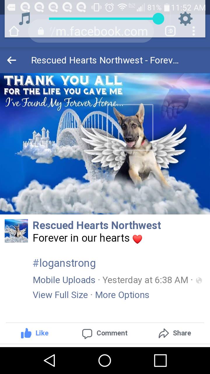 Washington State Animal Control Resources