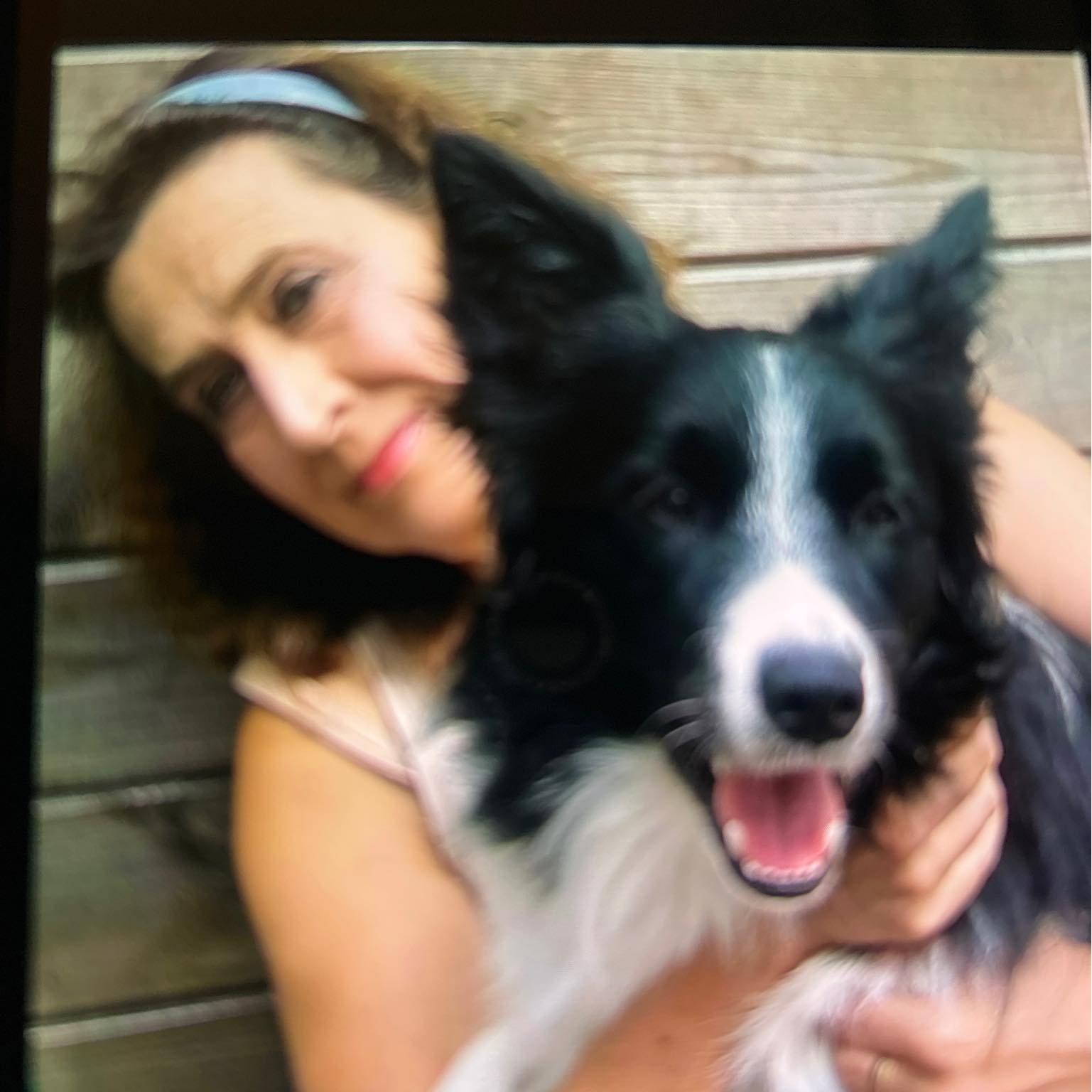 Anja de Wulf - Bedankt iedereen voor de vele felicitaties…... | Facebook