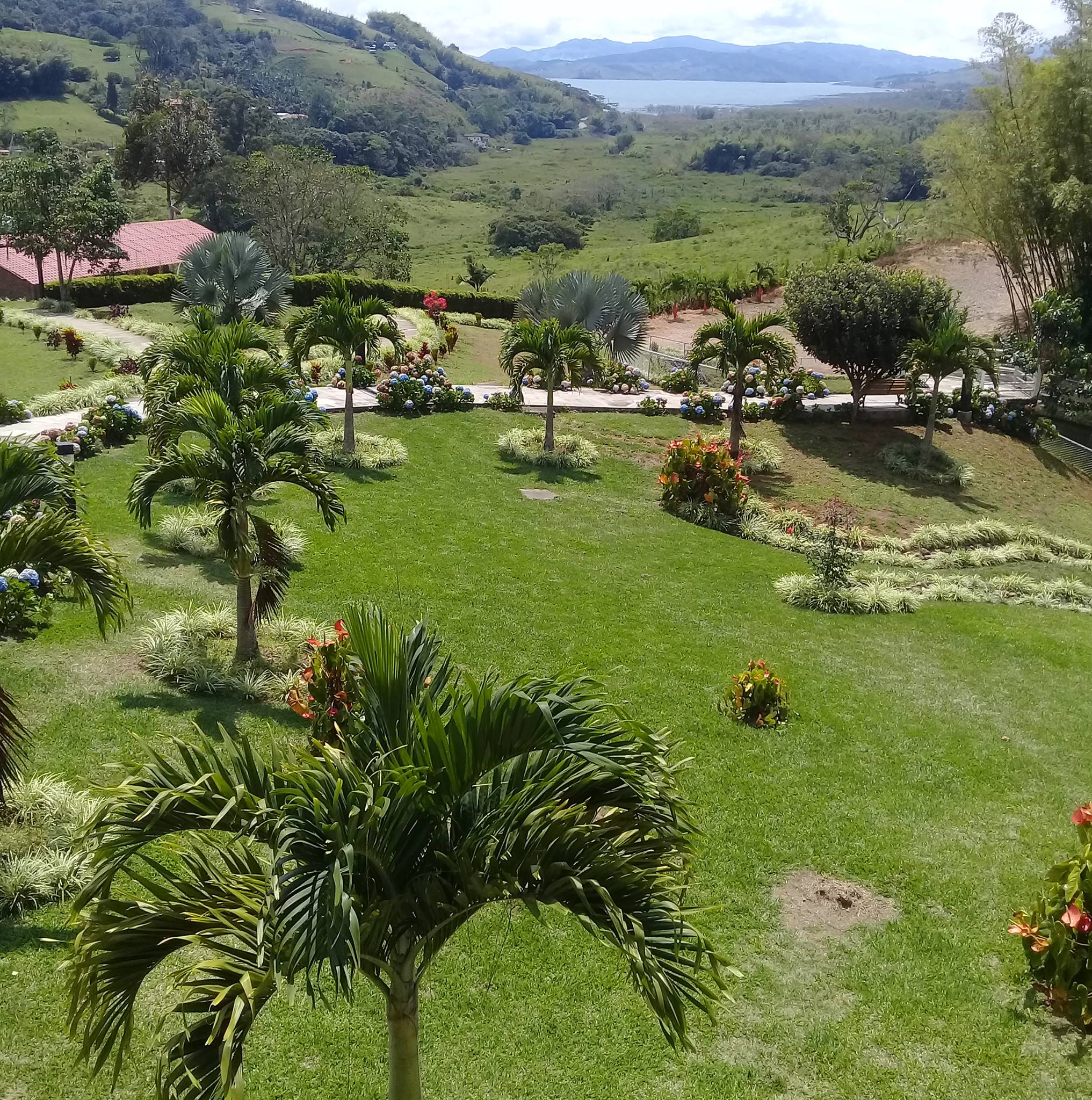 Atención cali alteración del orden público en puerto rellena | Valle al ...