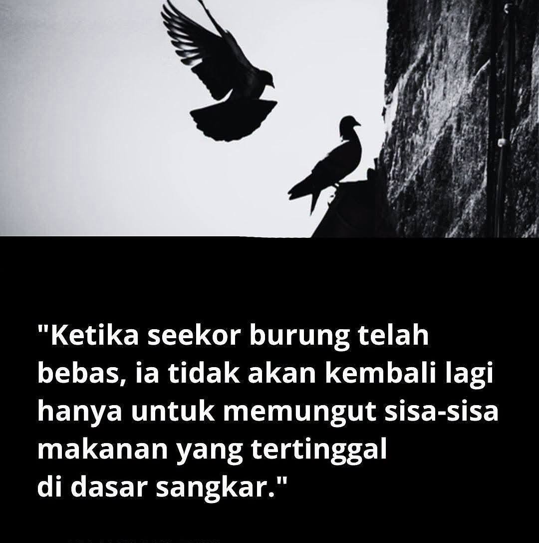 Cerita Kehidupan, Kisah Keluarga, Berita Terkini, Berita Aktual, Berita ...