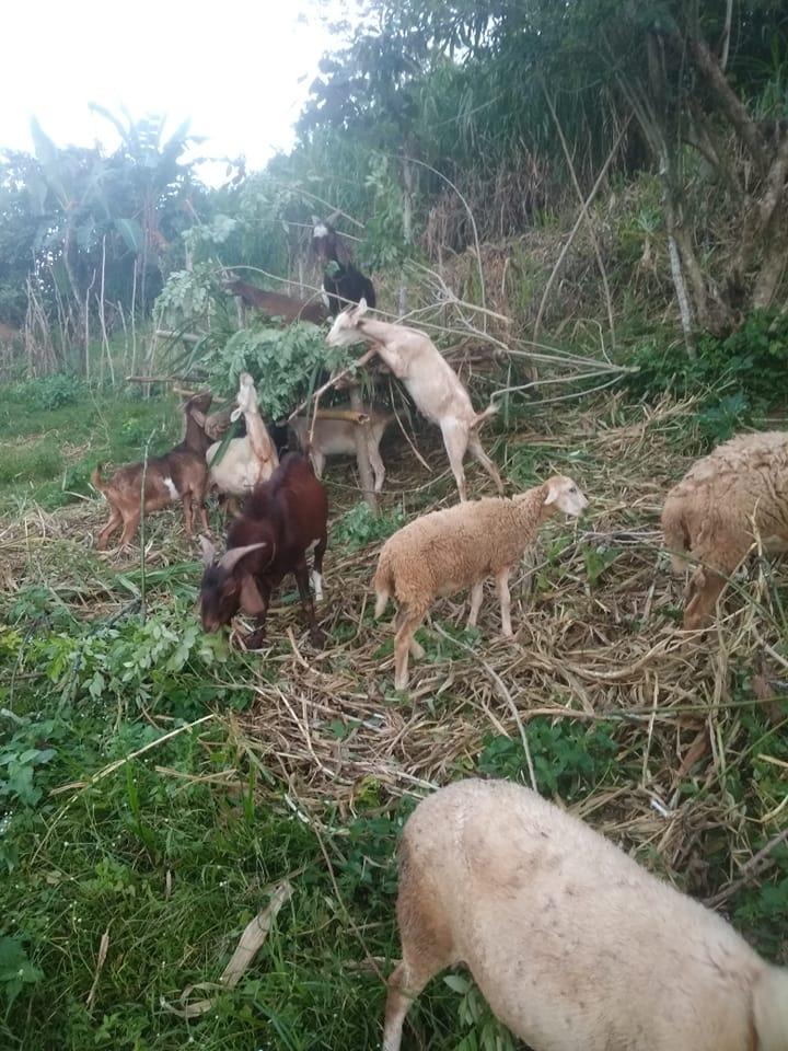 Magkakaalaman ngaun ang resulta ng ating LP 937. #buhayprobinsya # ...