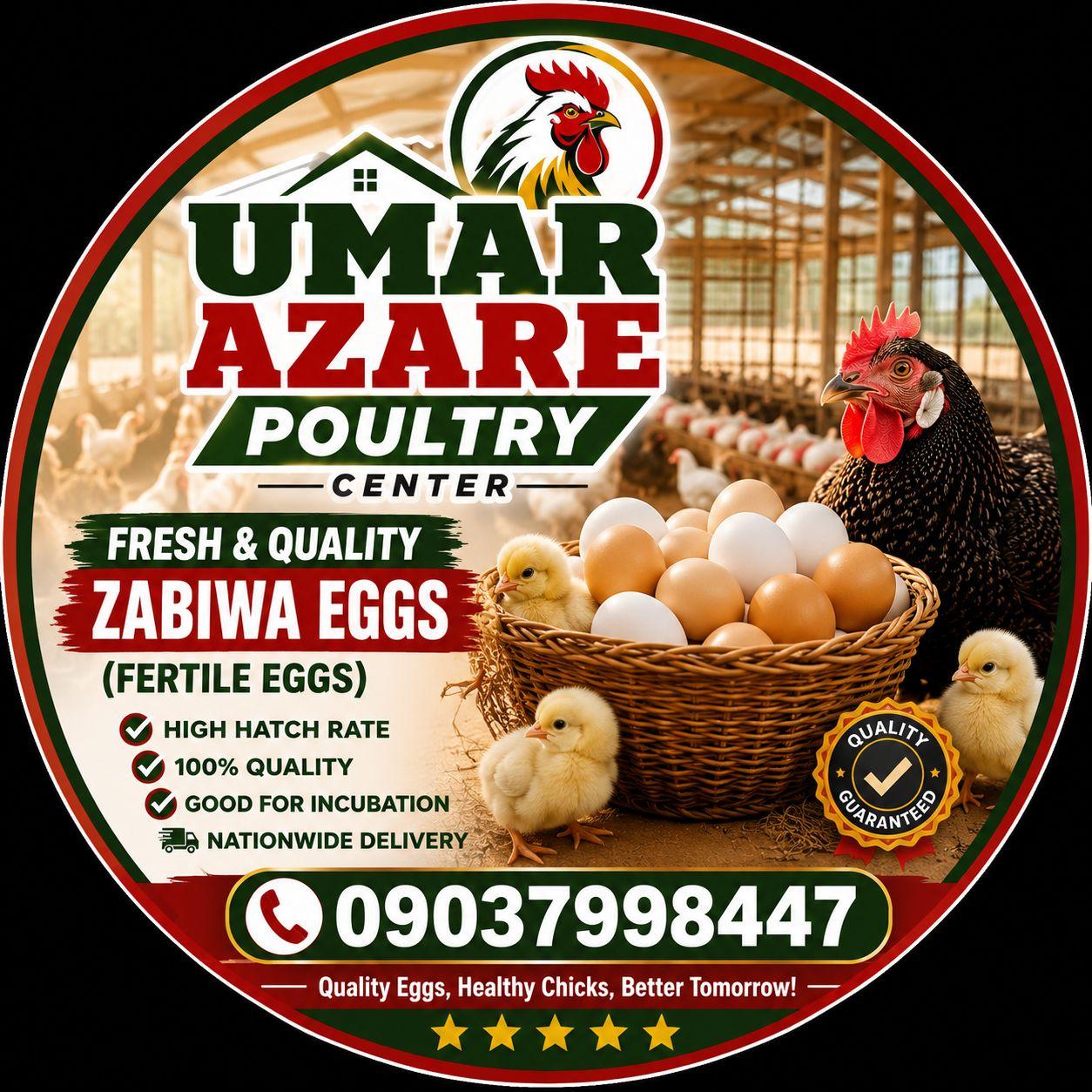 🤲 BROODER ƊINMU YA CI JARRABAWA! 🐥🔥 Ga duk masu tambayar mu cewa ...