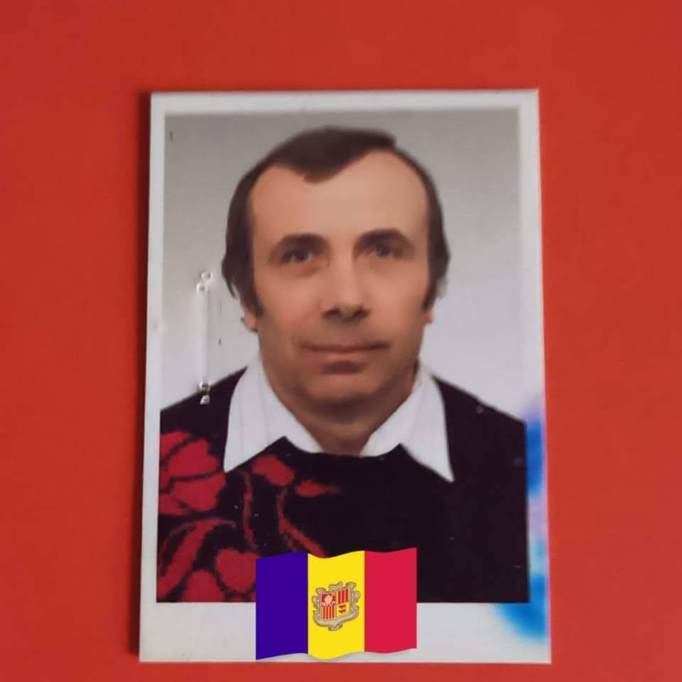 Grup Pepinierele Roman, întreținerea și altoirea pomilor și arbuștilor ...