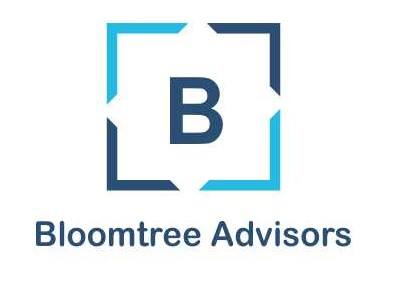 Bloomtree Business Advisors Private Limited