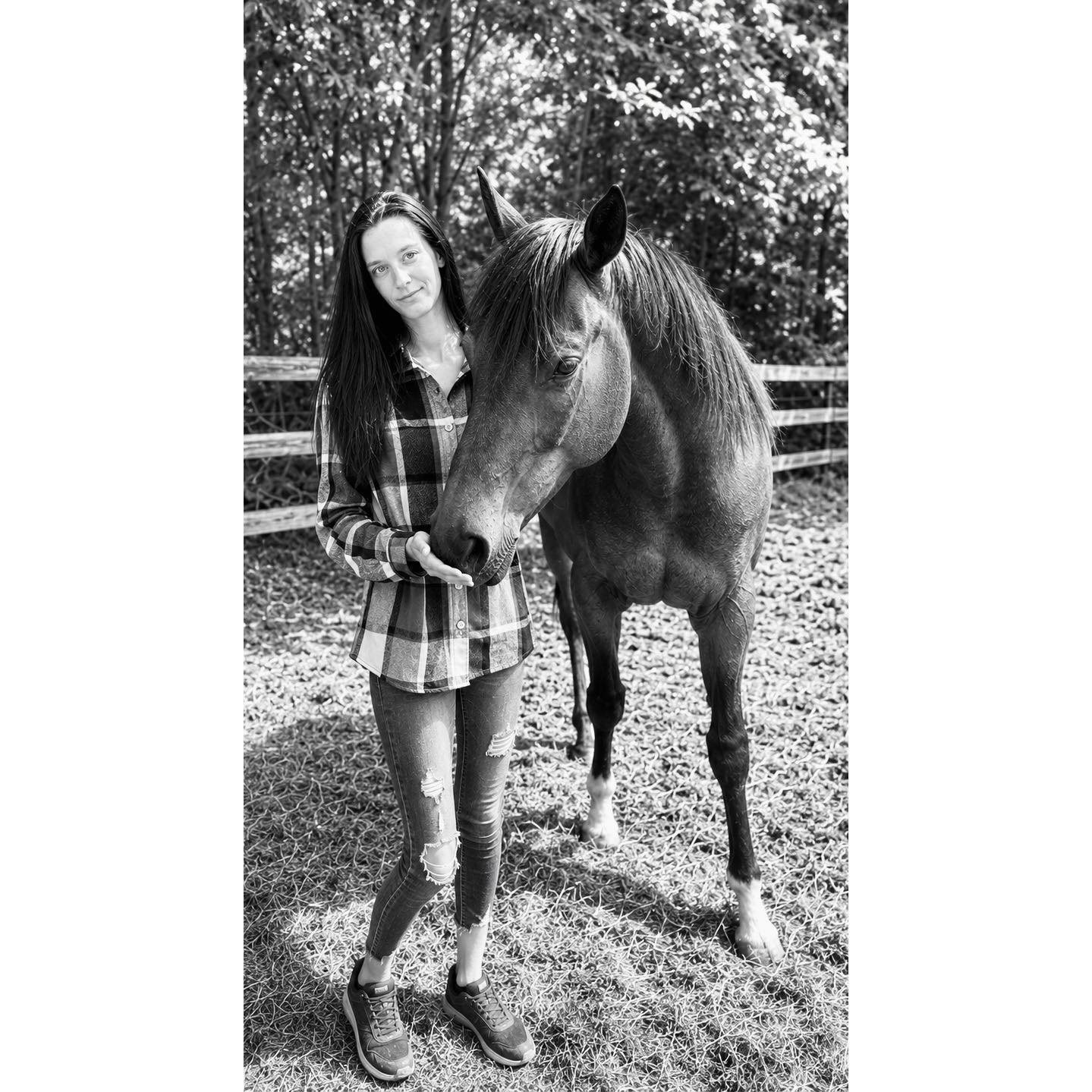 Ontario Horse Jobs | Growing program in Clearview looking for a working ...