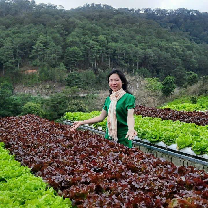 Anh ở viện chứ ngày nào anh cũng đi ngắm gái hết !!! | Đan Farmy