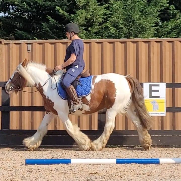Jackie Kneeshaw - A lovely day out in the sun at Kelmarsh... | Facebook