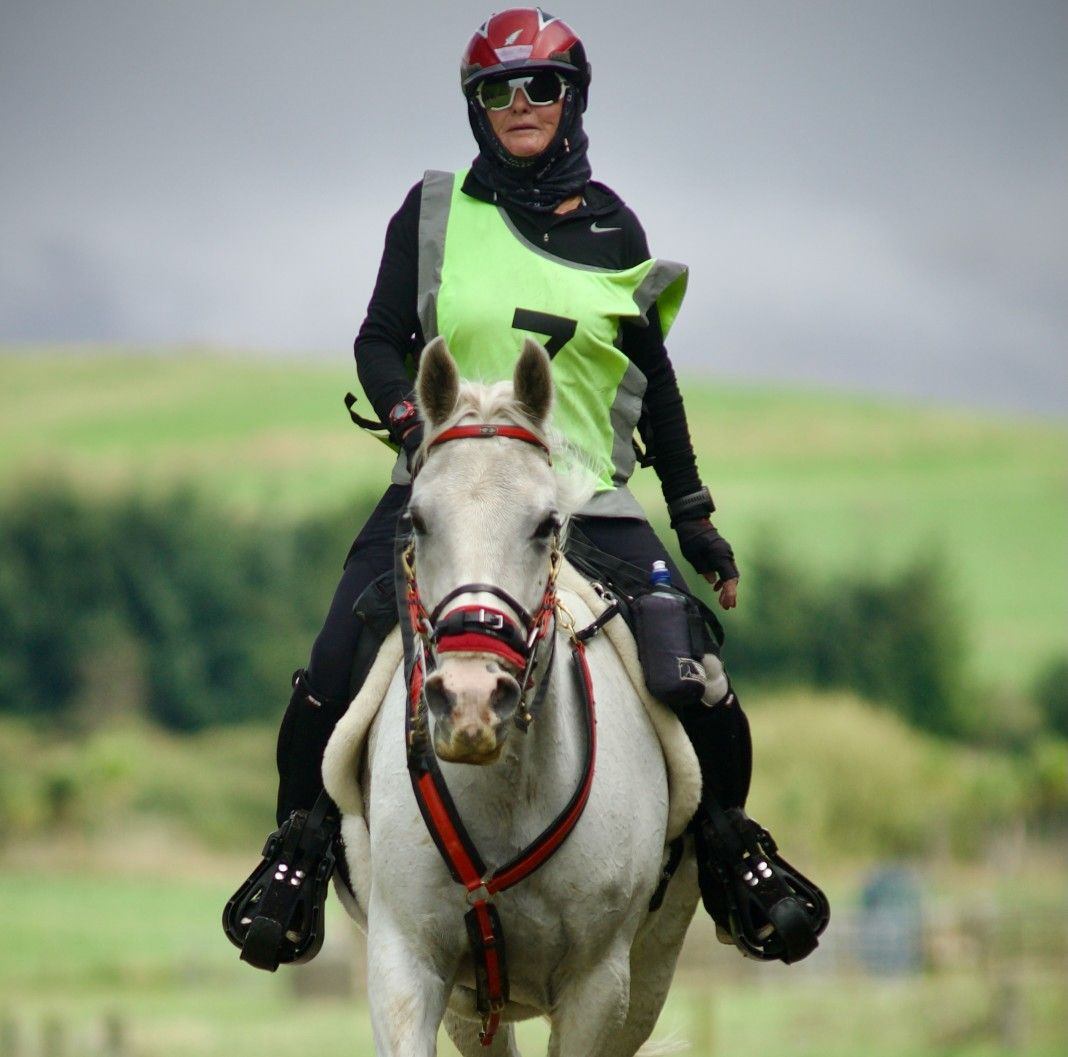 Horse questions, problems, answers, help | Any recommendations on what ...