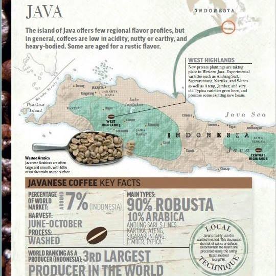 Java Coffee IQ
