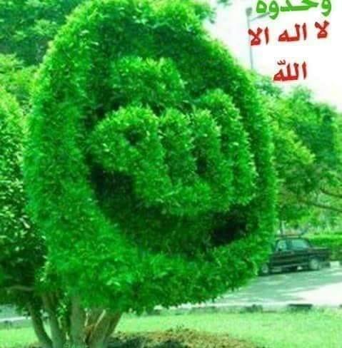 😍😍😍😍. نصف دينار فقط. #طنه_ورنه_جرش. موقعنا جرش بجانب محمص الفارسي ومحل ...