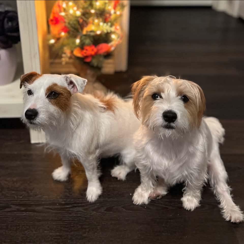 Wreaths & Bows : Inspiration and Ideas by Wreath & Bow Co | Question ...