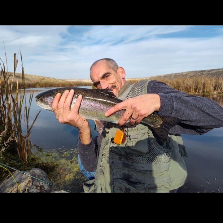 Little fella! Catch and release! 🎣🐟 | David Richard