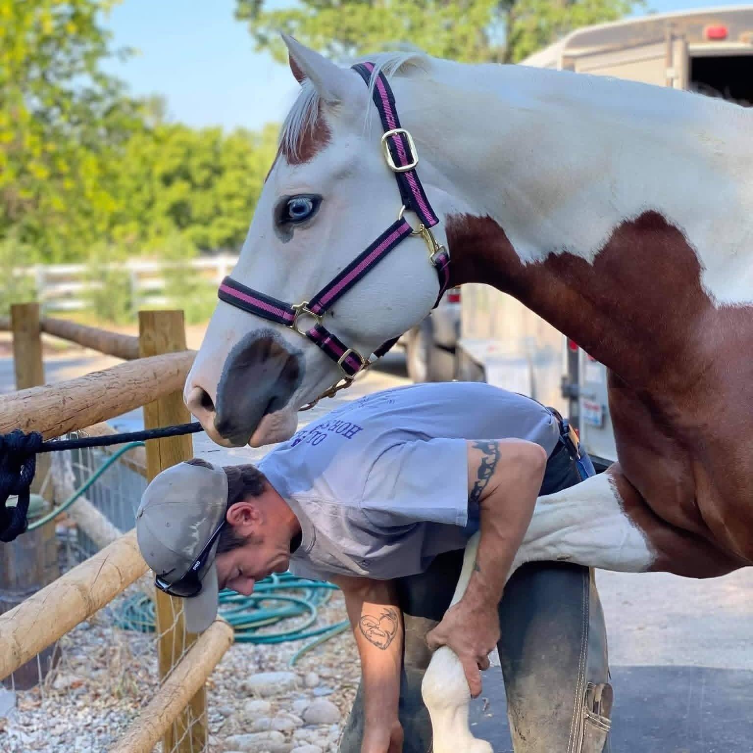 Sun Dragon Tack | Plainwell MI