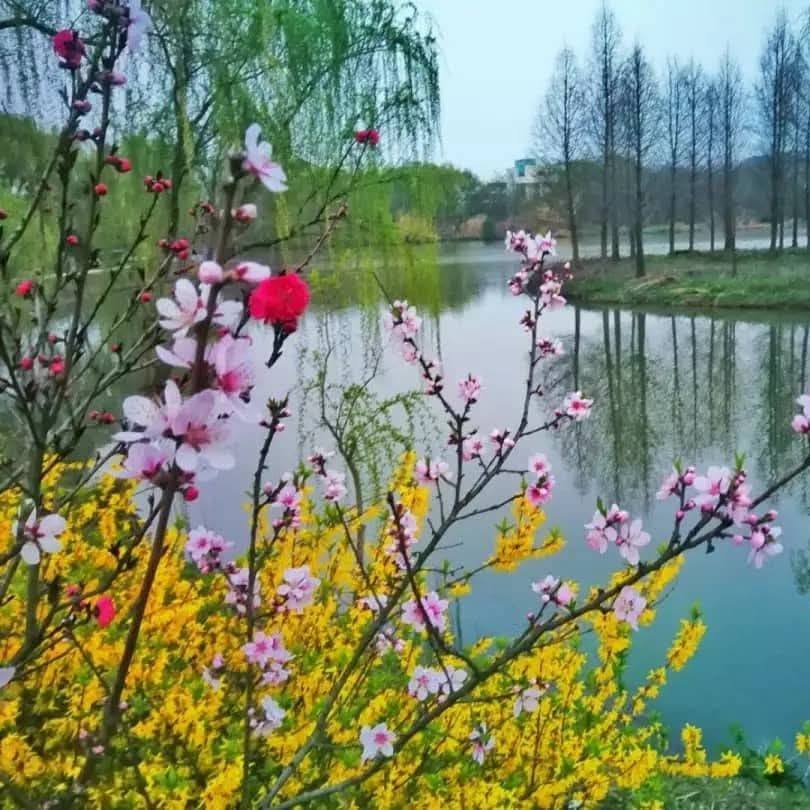 ডিসেম্বর ডাকছে । রাস্তা গুলো অপেক্ষা করছে ।আমাদের ফিরে আসা আসন্ন । জয় ...