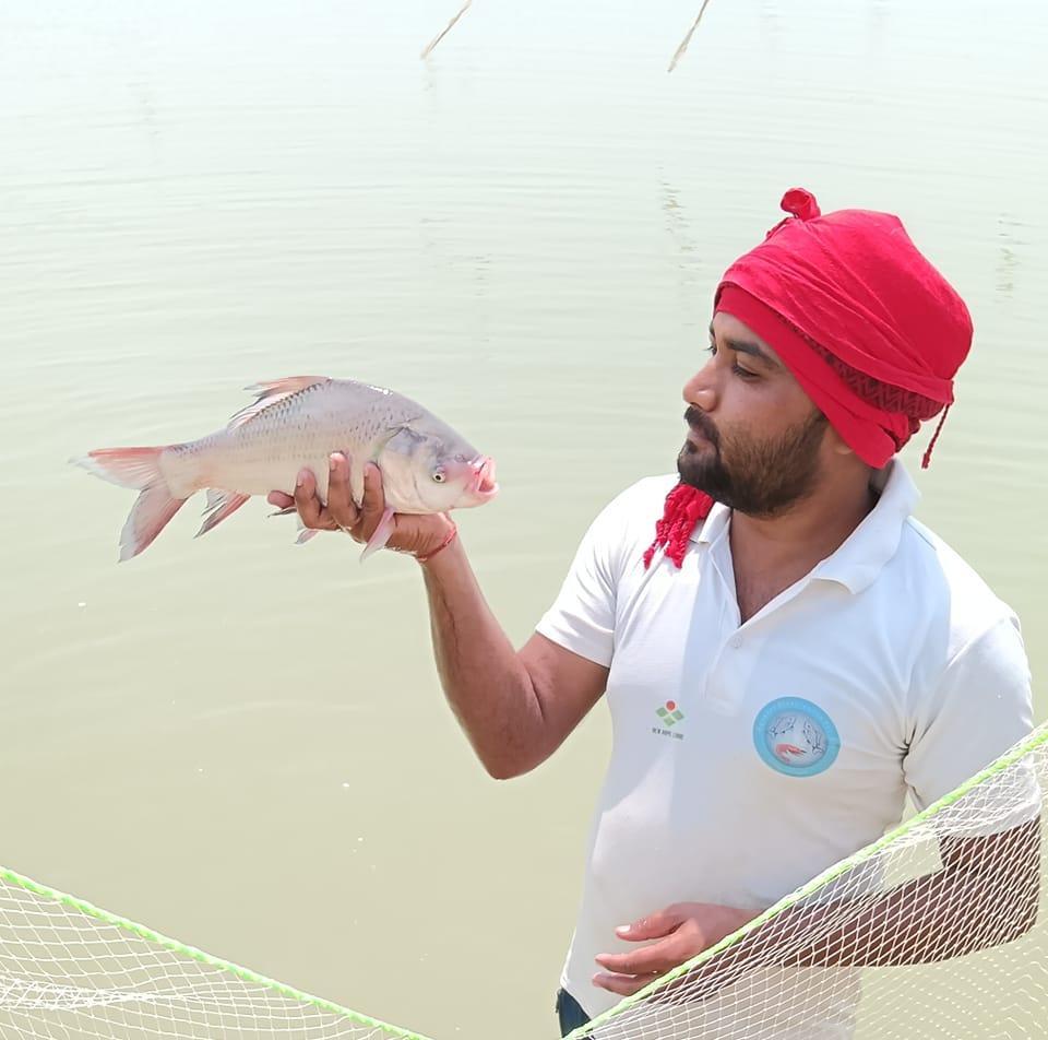 Mukesh Kumar Rajput