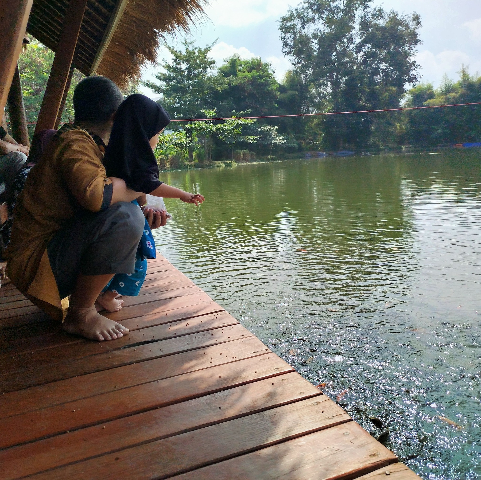 Aquascape Pemula Indonesia (API) | Mau nanya dong yang pengalaman pake ...