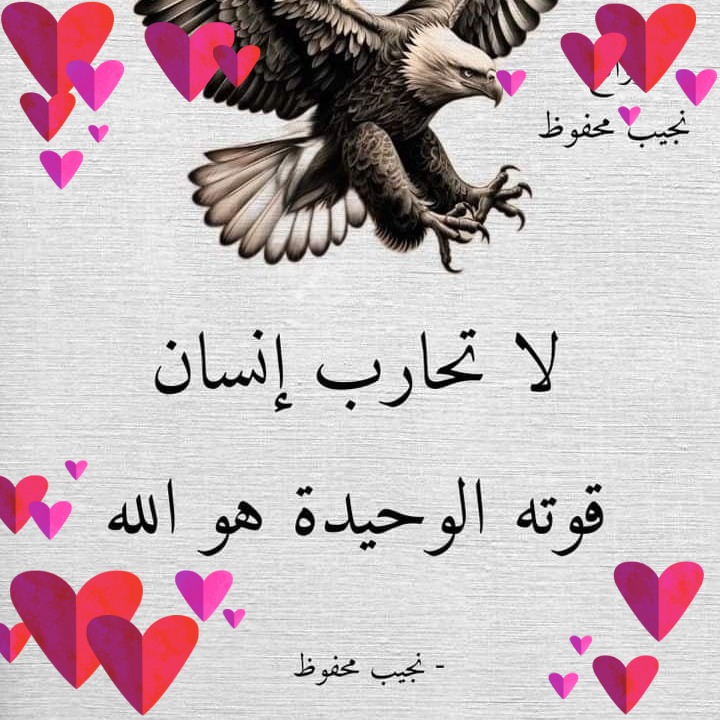 Rasha Hamza