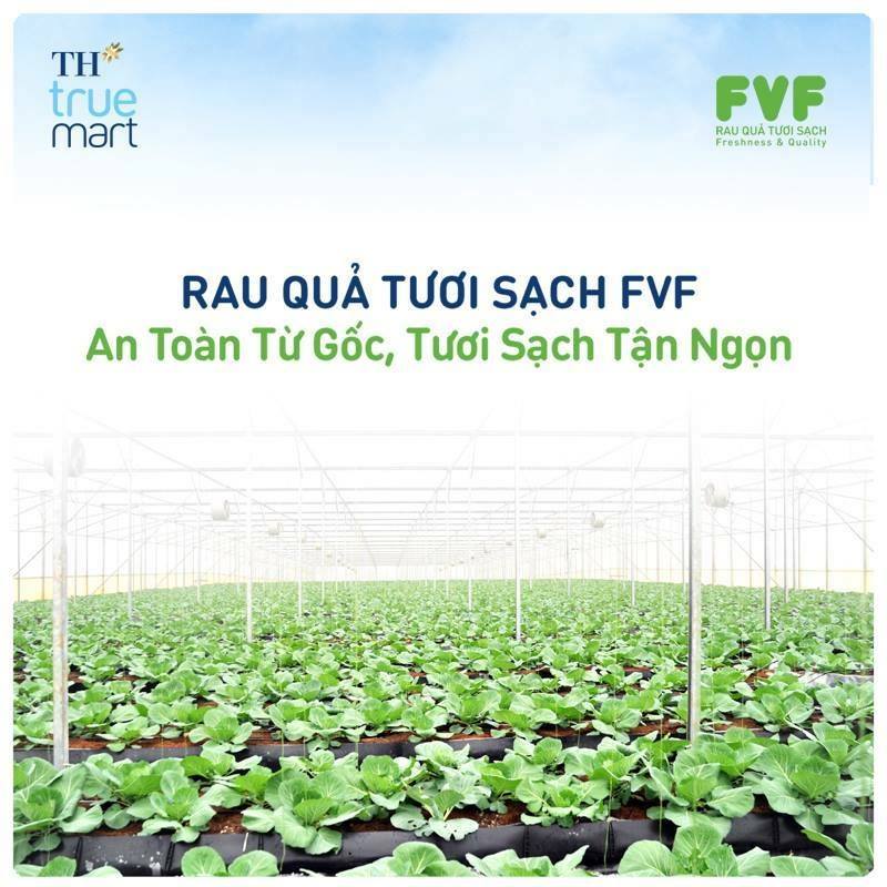 TH Truemart - Rau Sạch FVF | Ho Chi Minh City