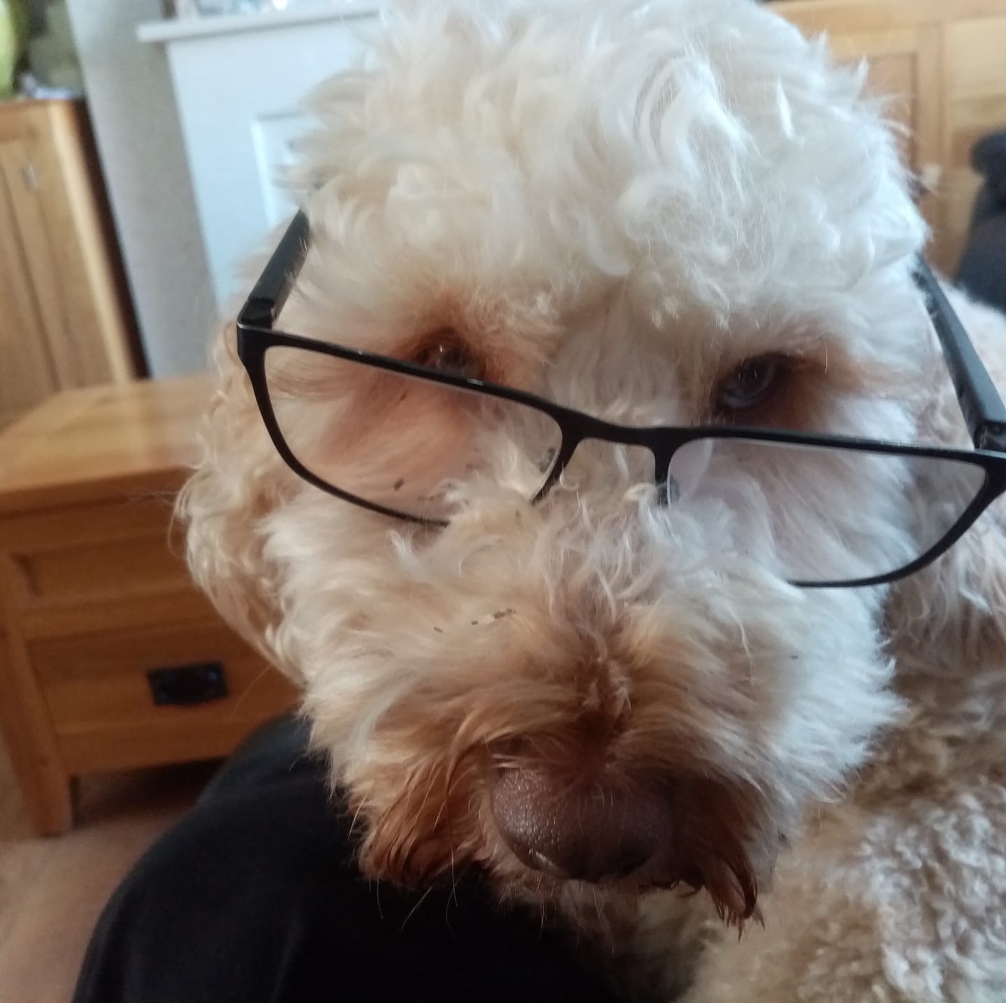 Lisa Whittard - Good afternoon all, i really don’t quite... | Facebook